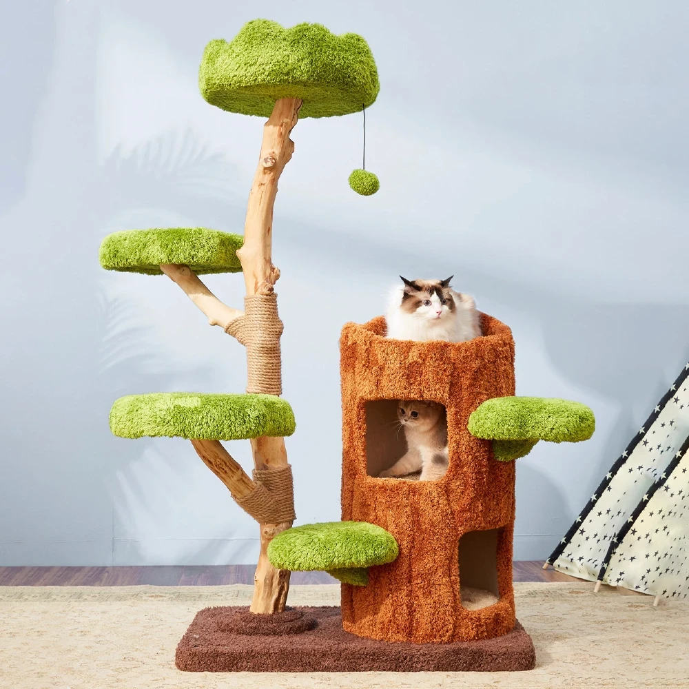 Exploring the Latest Innovations from Cat Litter Box Manufacturers