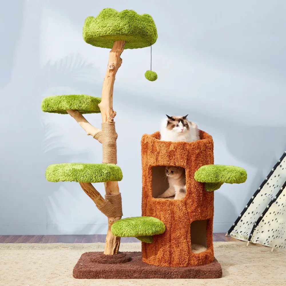 Essential Wholesale Pet Supplies