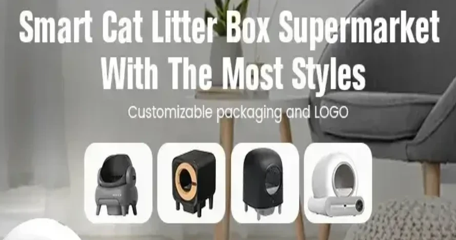 How to Train your Cat to Use an Auto Clean Litter Box