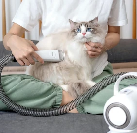 Pet Supply Products Profitable Guide