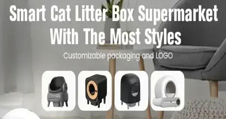 How to Train your Cat to Use an Auto Clean Litter Box