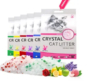 Premium Wholesale Kitty Litter Solutions