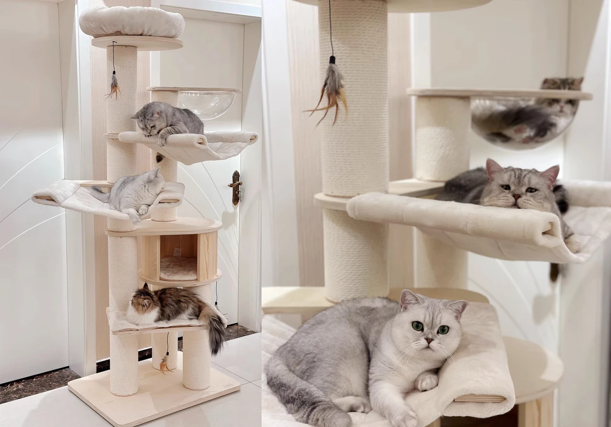 Enhance Your Home with Modern Floor to Ceiling Cat Trees