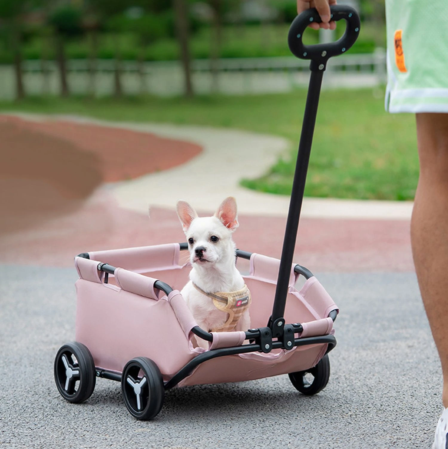 Stylish Wooden Cat Tree for Playful Felines and Cozy Relaxation