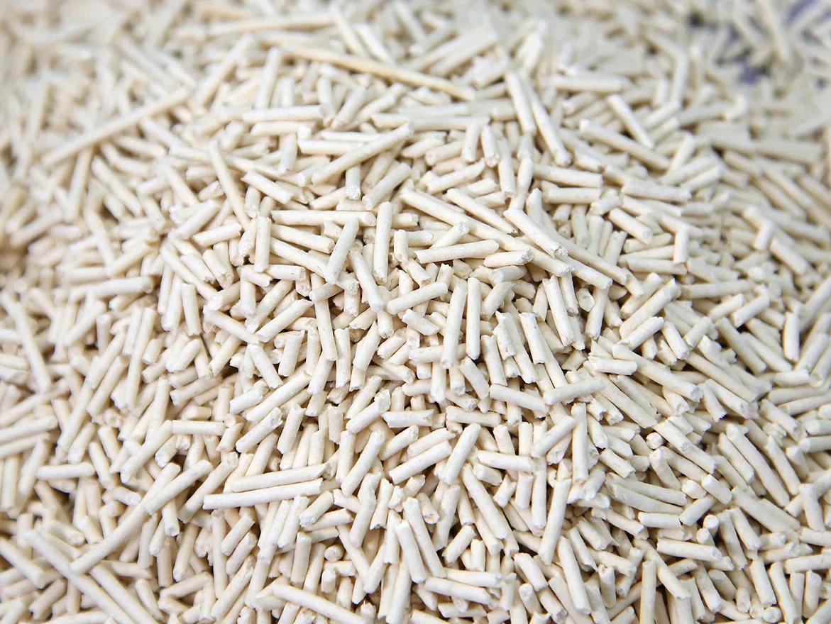 The Rise of Tofu Cat Litter: Eco-Friendly and Efficient