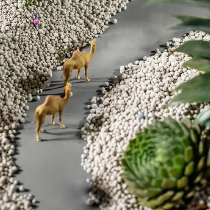 The Importance of Cat Sand in Families with Cats