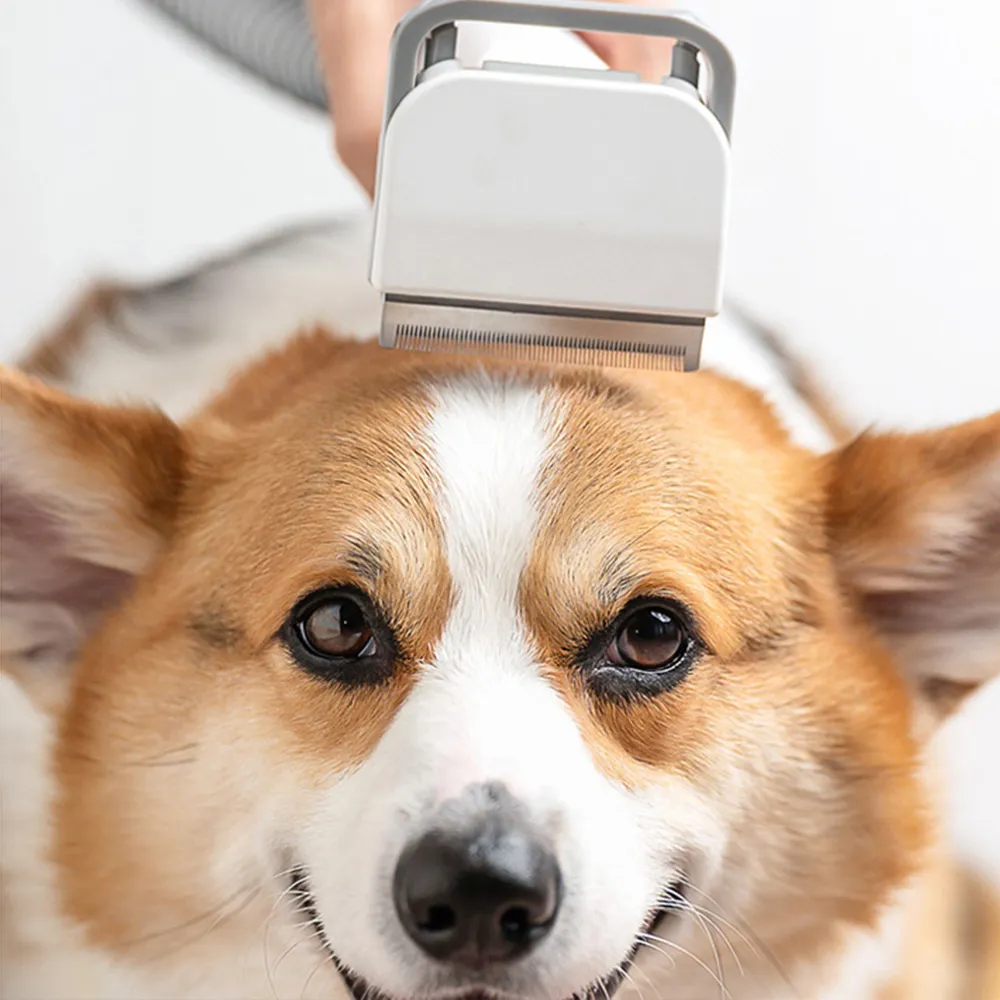 Pet Grooming Kit Vacuum Suction 99% Pet Hair, 5 Pro Tools