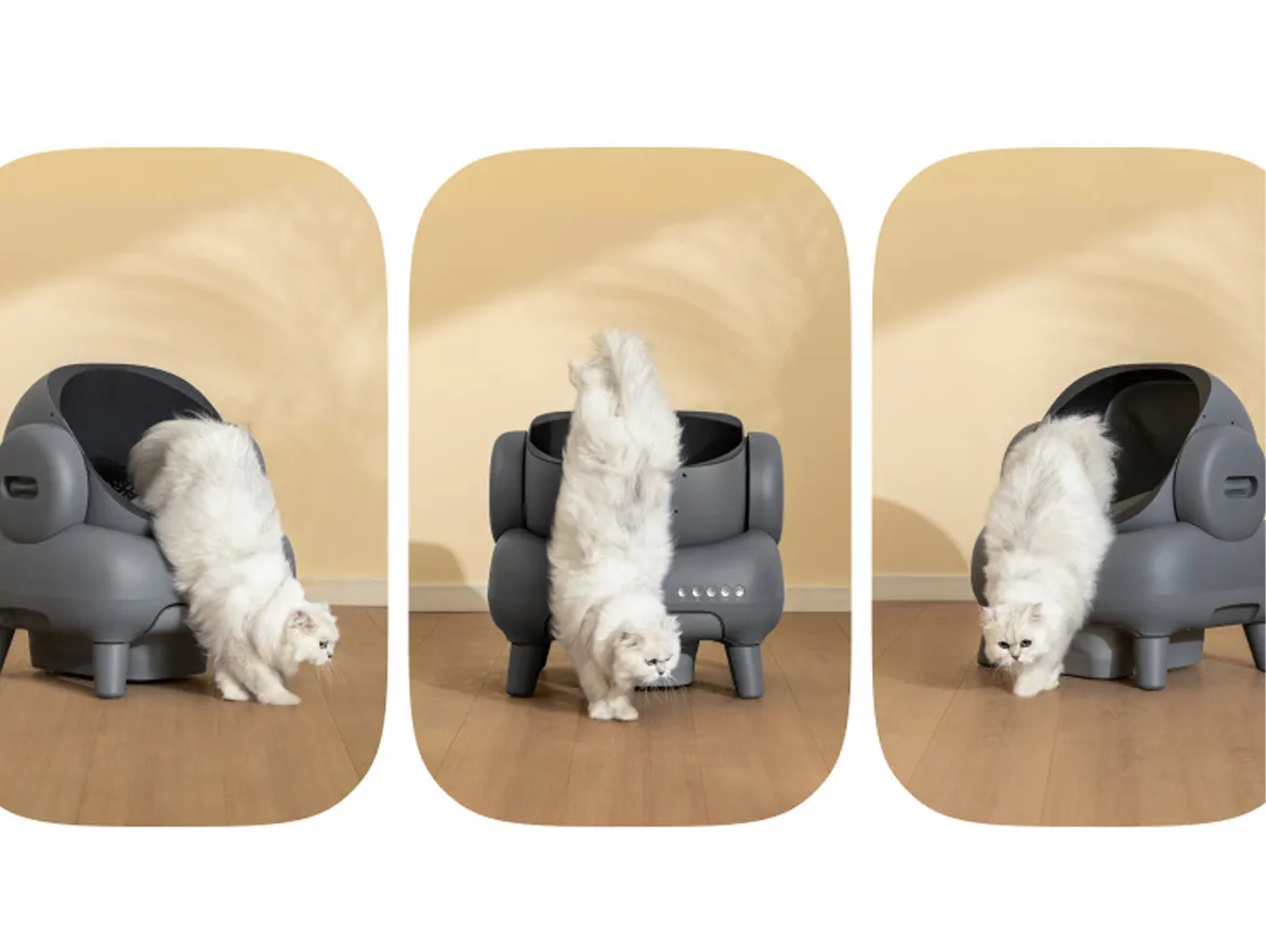 Revolutionizing Cat Care: Smart Litter Box Solutions