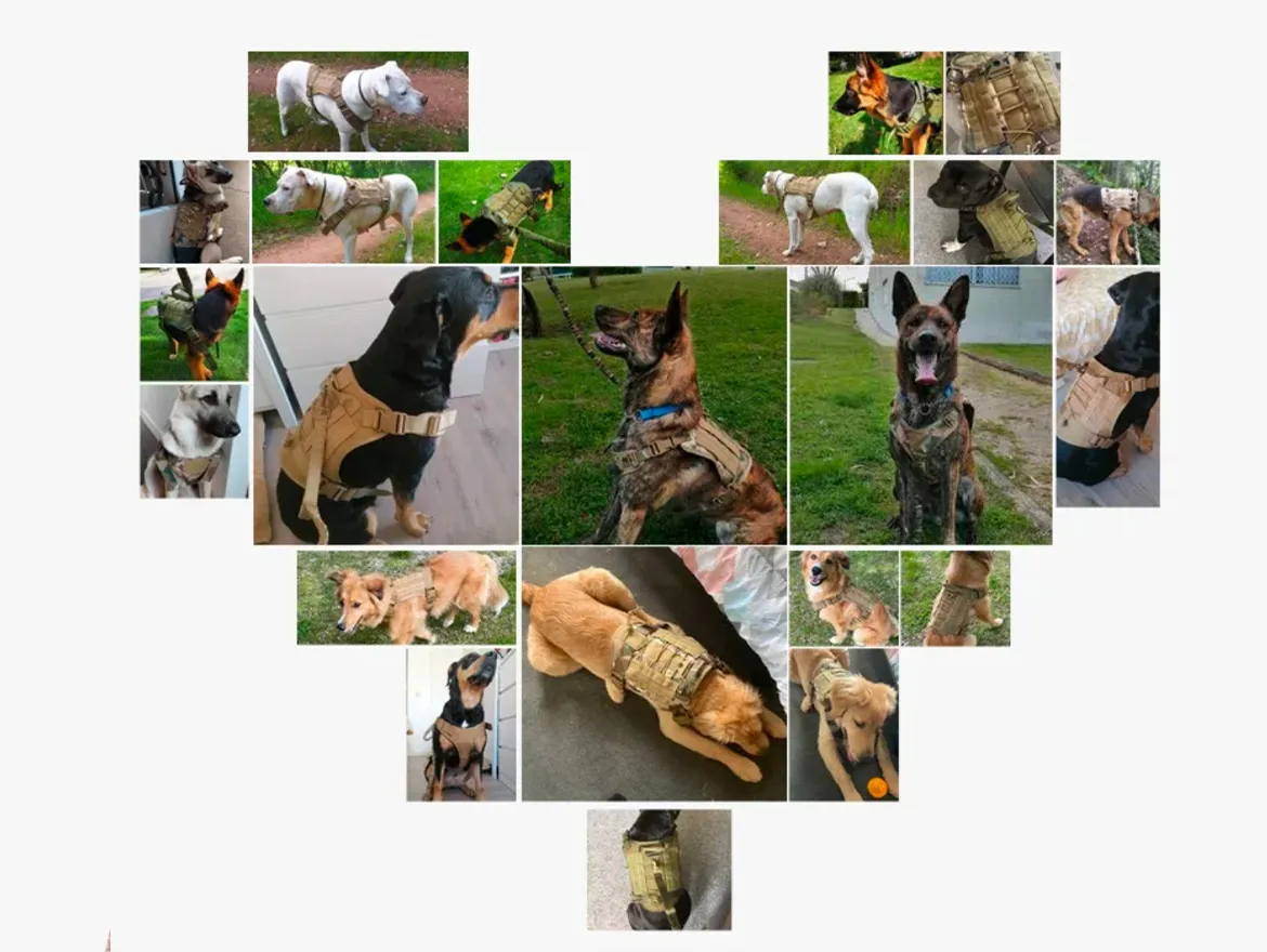 Tactical K9 Dog Harness Adjustable And Removable