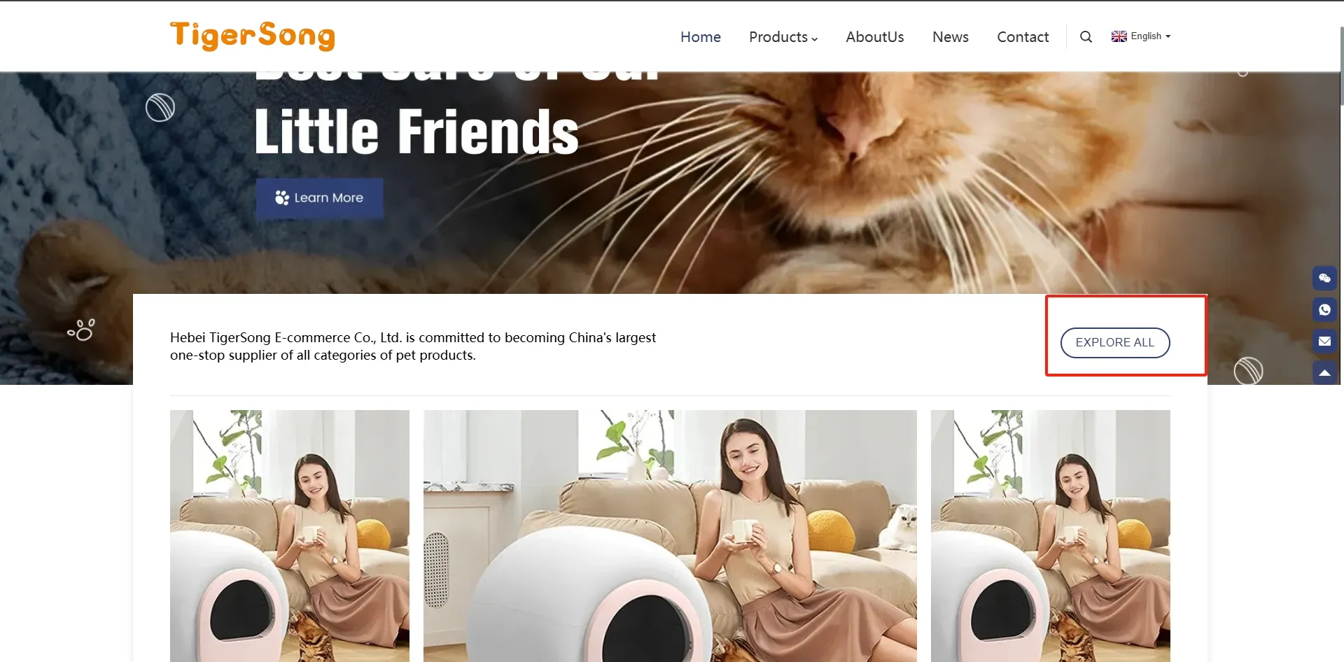 Powerful Hygroscopic Crystal Sand Deodorizing Odorless Silica Gel Cat Litter