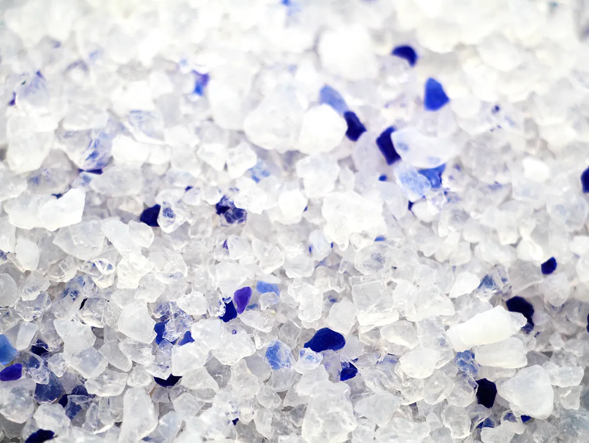 The Rising Popularity of Natural Pine Cat Litter