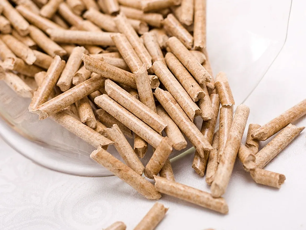 The Ultimate Guide to Choosing the Right Cat Litter