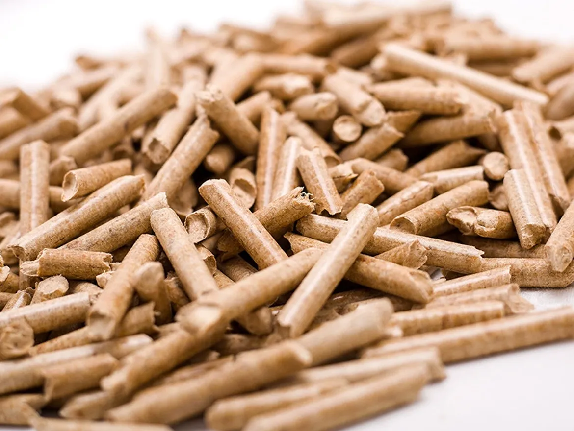 The Ultimate Guide to Choosing the Right Cat Litter