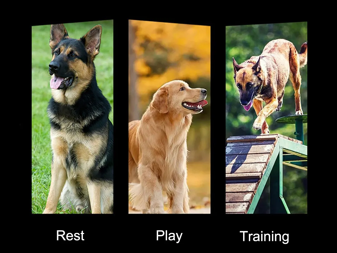 Tactical K9 Dog Harness Adjustable And Removable