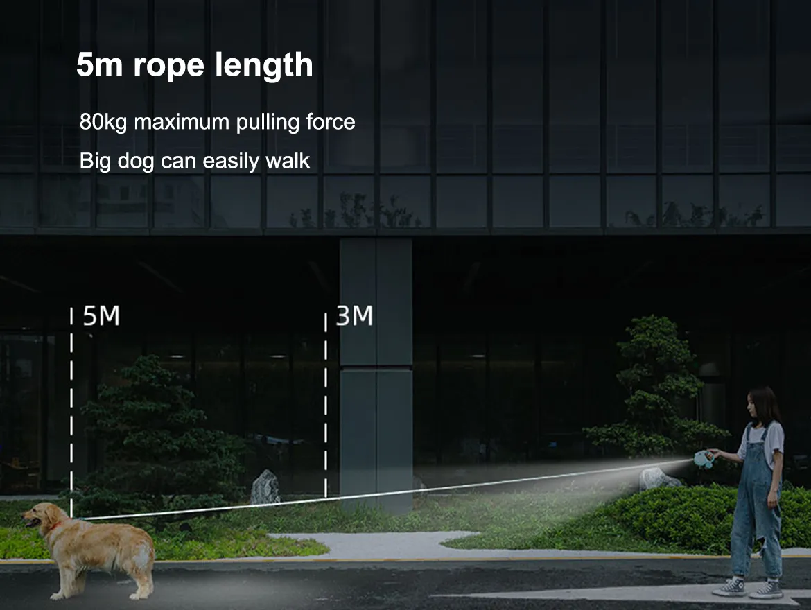 Lightweight Durable Dog Walking Retractable Dog Leash