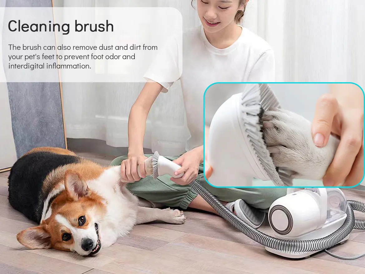 Pet Grooming Kit Vacuum Suction 99% Pet Hair With 5 Professional Tools