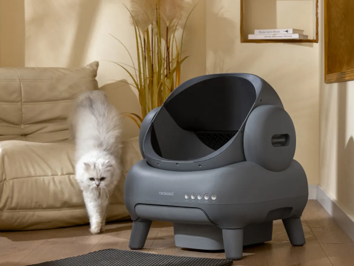 Revolutionizing Cat Care: Smart Litter Box Solutions