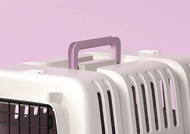 Read More About pet crate airline approved