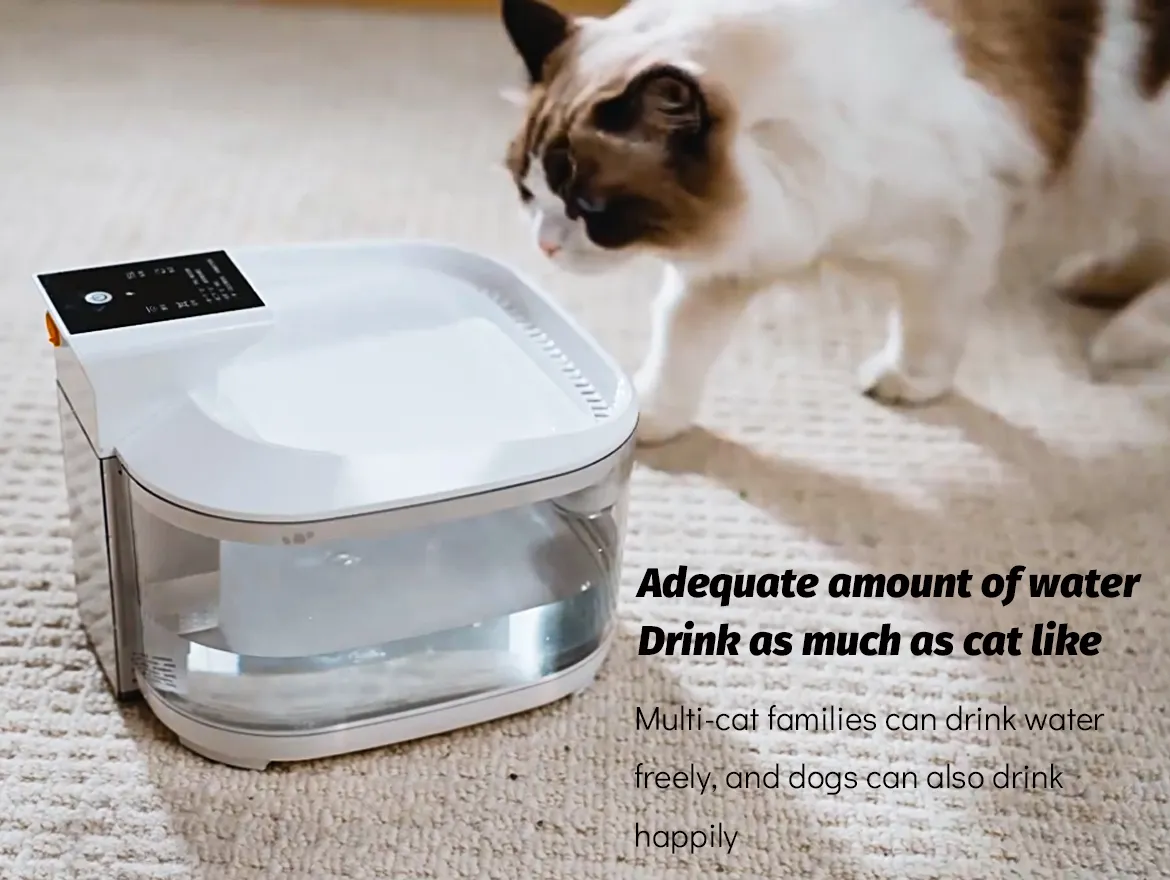 Cat Water Fountain