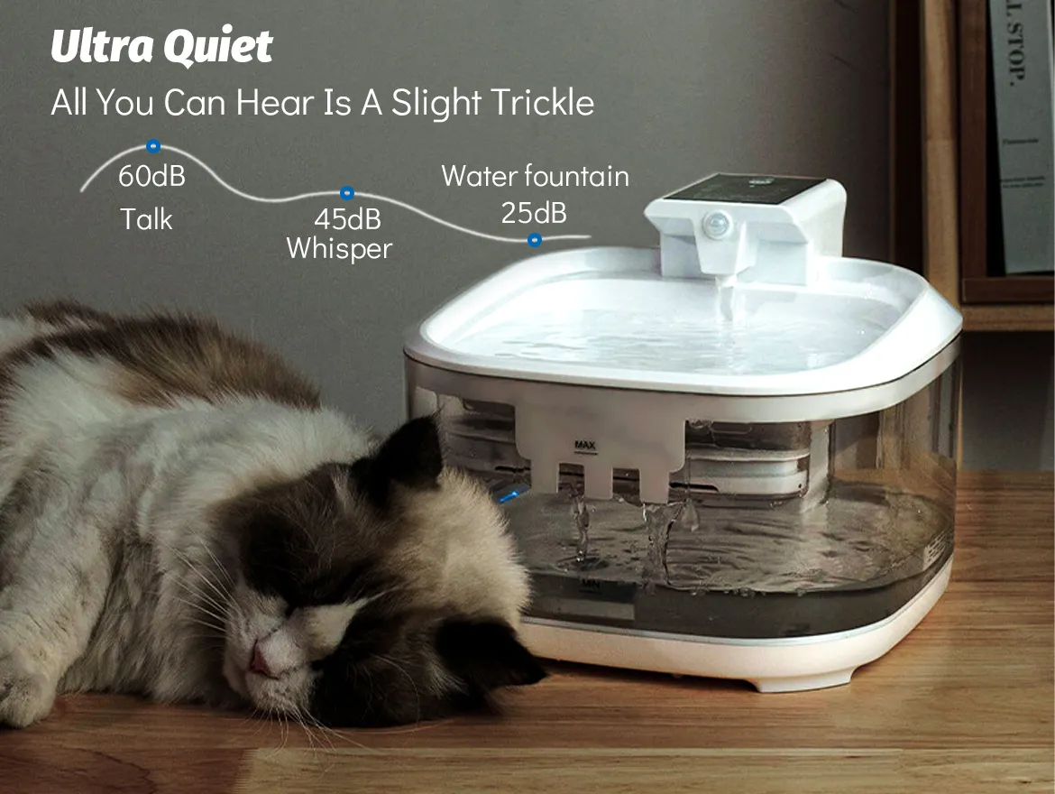 Cat Water Fountain