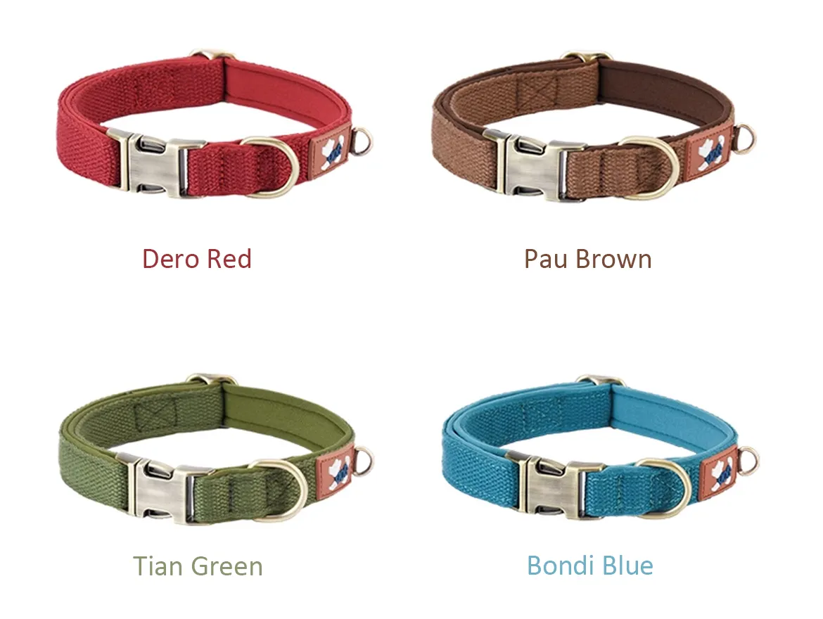 Soft Padded Nylon Adjustable Dog Collar with Metal Buckle