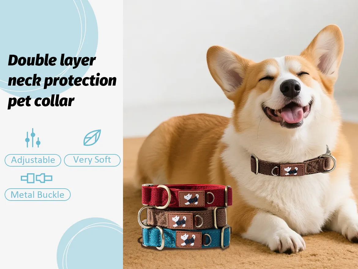 Soft Padded Nylon Adjustable Dog Collar with Metal Buckle