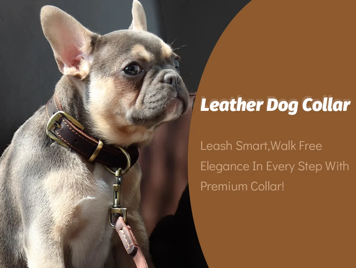 Personalized Soft Leather Pet Collars with Engraved Nameplate