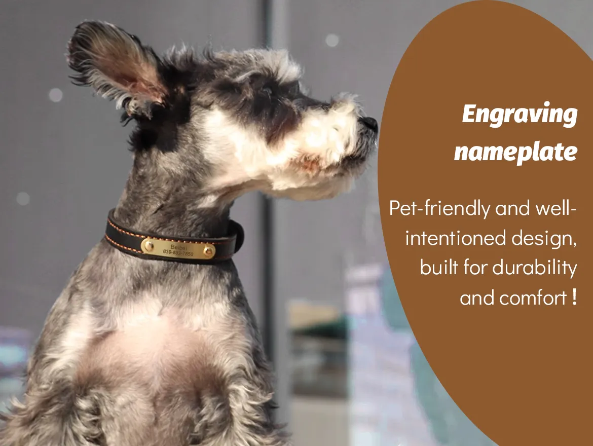 Personalized Soft Leather Pet Collars with Engraved Nameplate