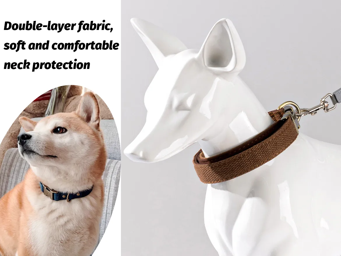 Soft Padded Nylon Adjustable Dog Collar with Metal Buckle