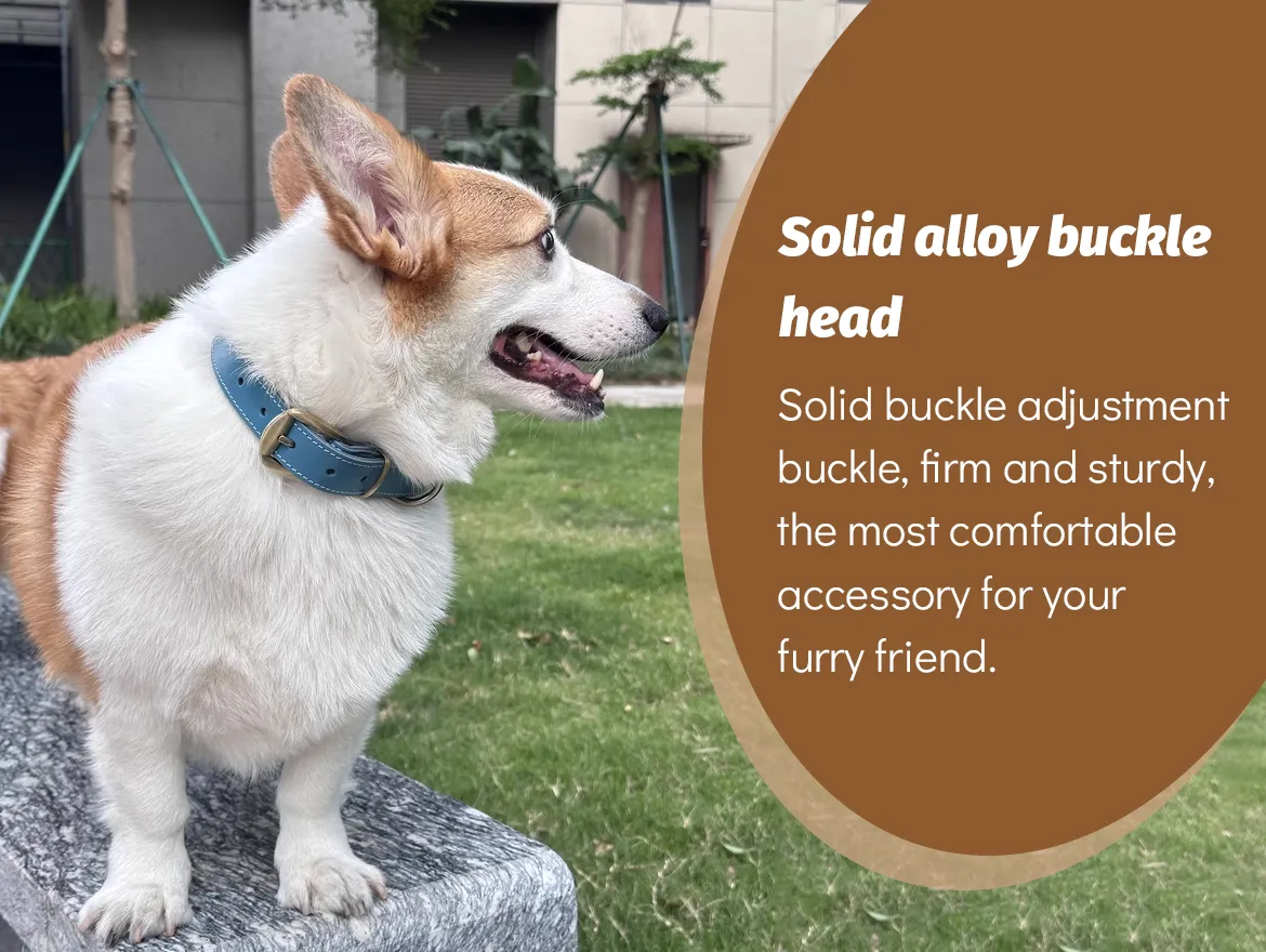 Personalized Soft Leather Pet Collars with Engraved Nameplate