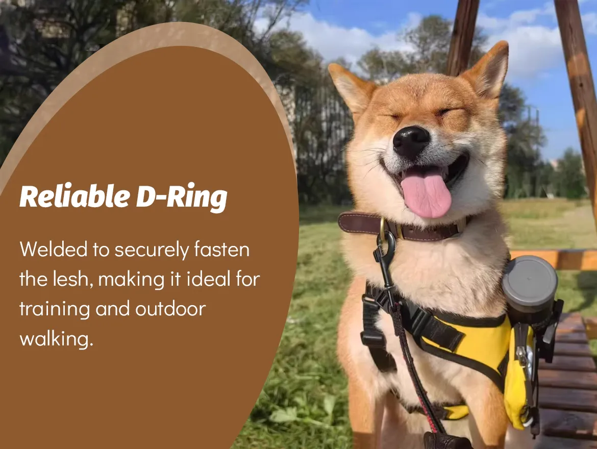 Personalized Soft Leather Pet Collars with Engraved Nameplate