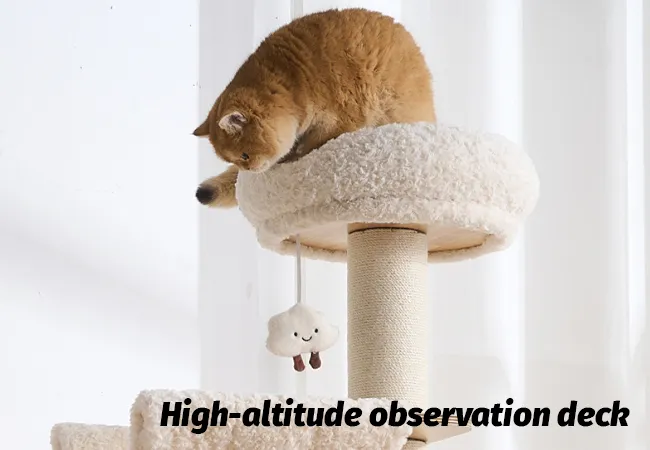 Modern Cat Tree Tower With Space Capsule and Top Bed