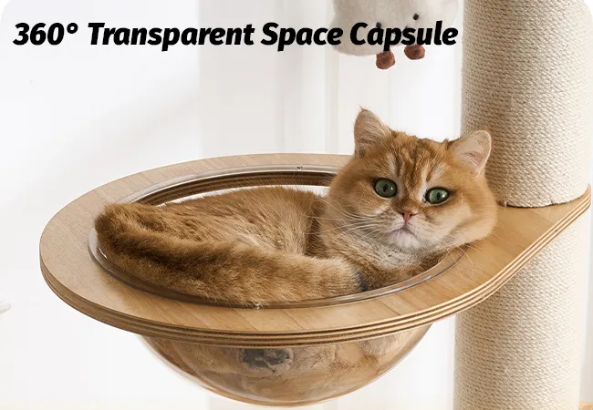 Modern Cat Tree Tower With Space Capsule and Top Bed