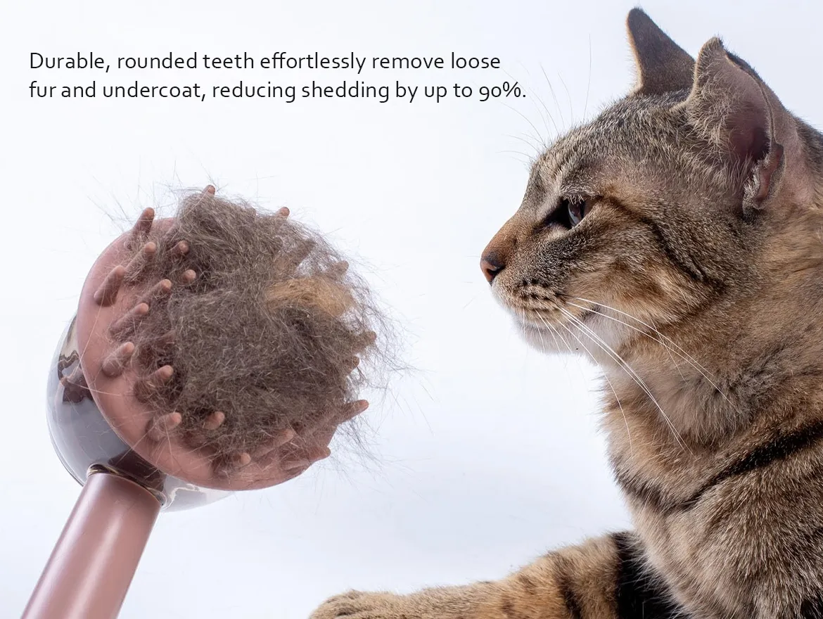 3-in-1 Pet Bathing Brush Anti-Frizz Grooming Brush for Pets