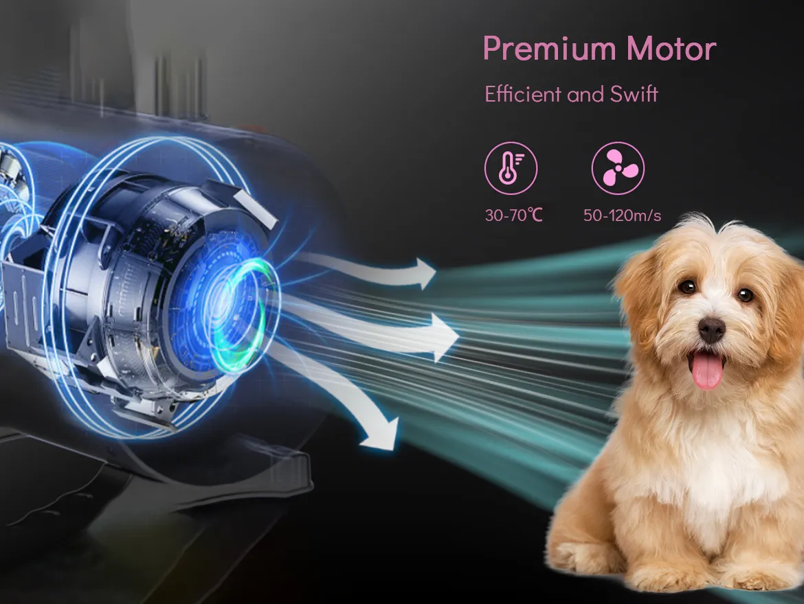 Pet Dryer