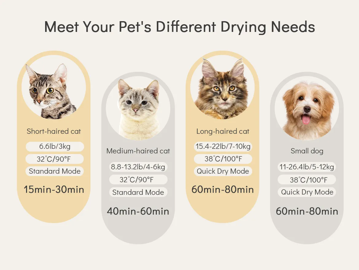 62L Large Space Pet Drying Box UV Sterilization Fully Automatic