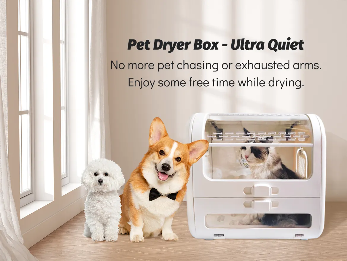 Pet Dryer Box