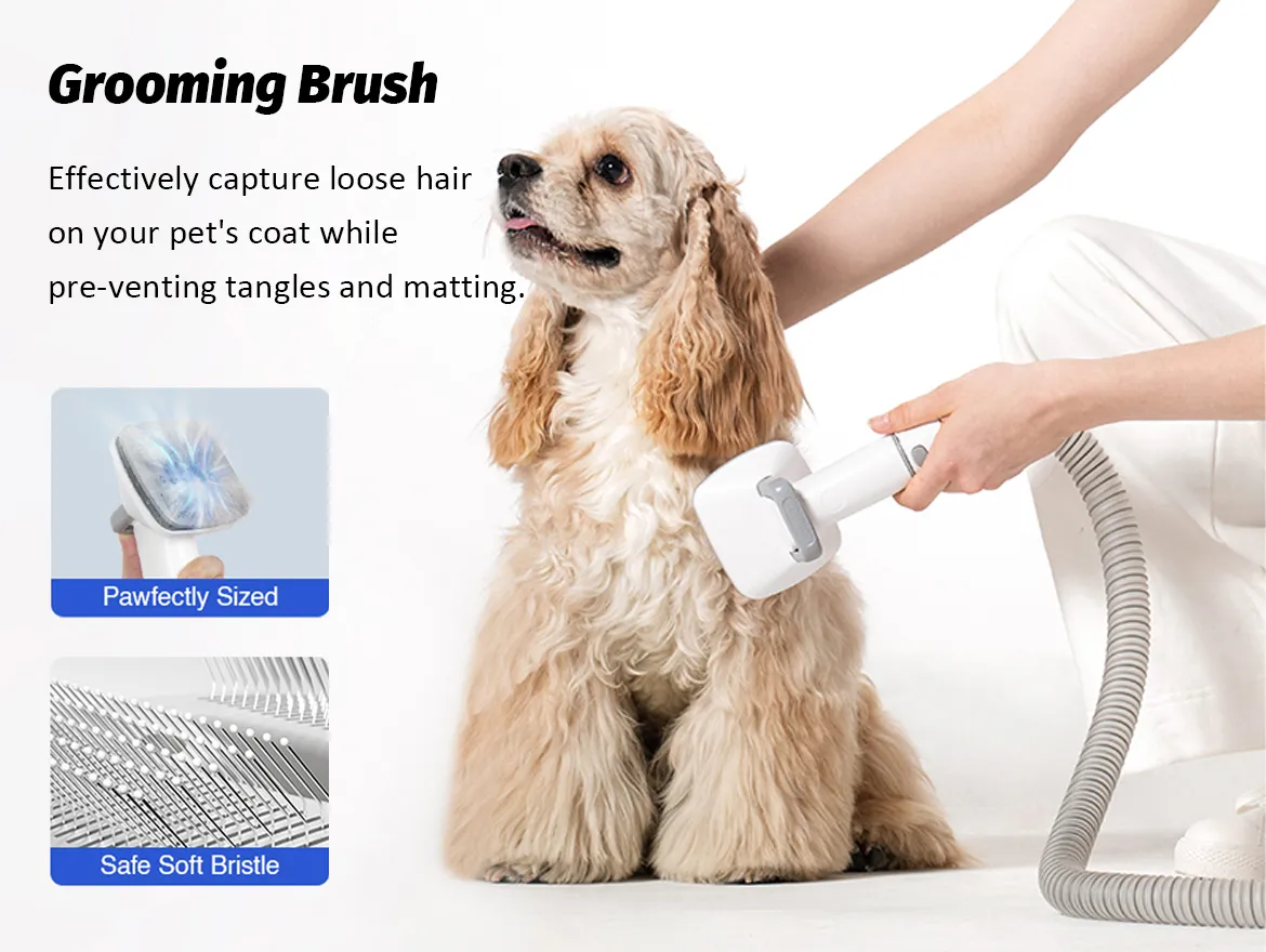 Lightweight Portable Pet Grooming Kit Low Noise Pet Hair Remover