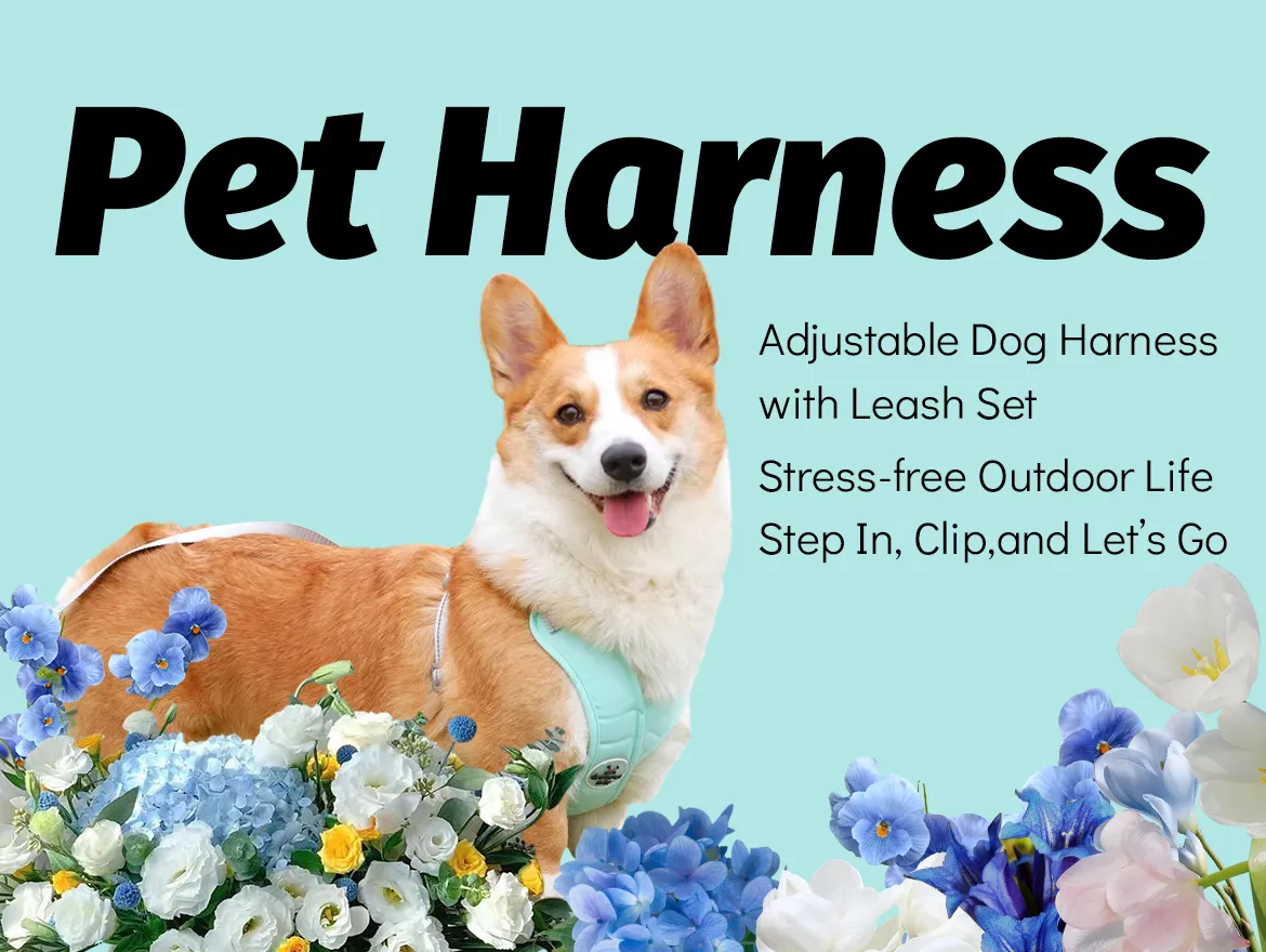 Pet Harness