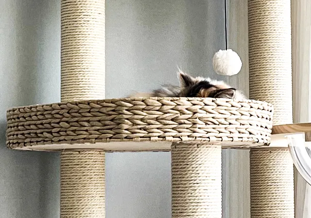Cat Tree Tower