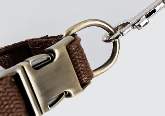 Soft Padded Nylon Adjustable Dog Collar with Metal Buckle