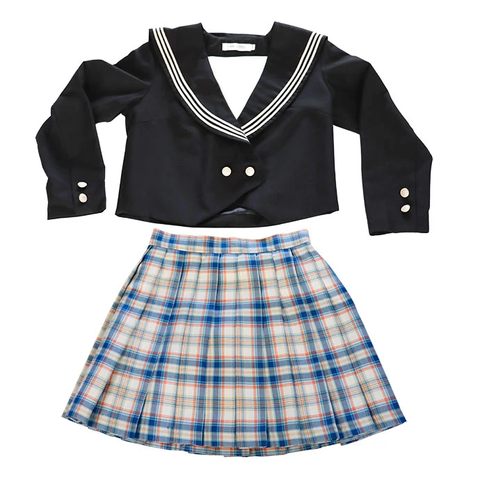 Skirt With Plaid Shirt