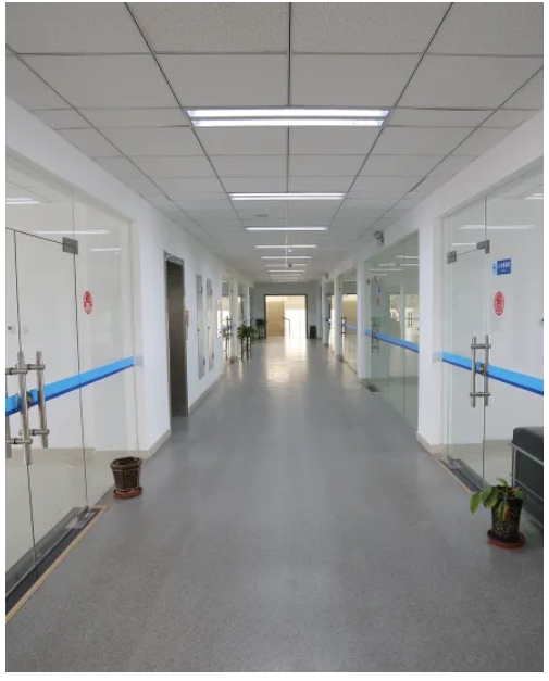 The Role of Shipping Container Lifting Equipment in Global Logistics