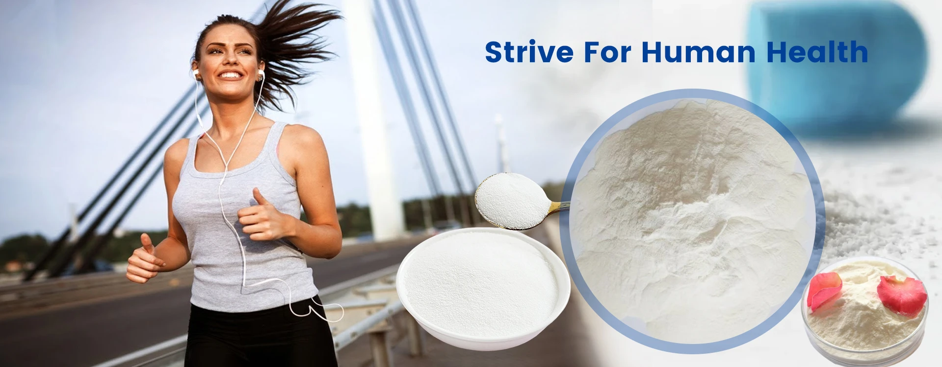 animal feed additives companies