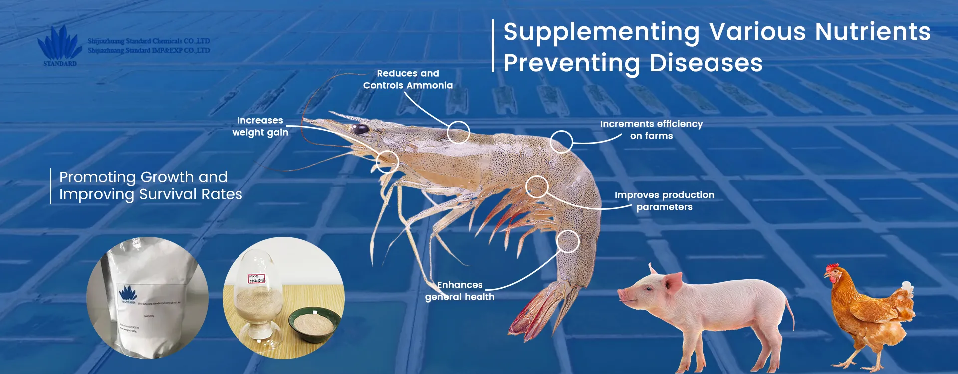 feed additive manufacturer