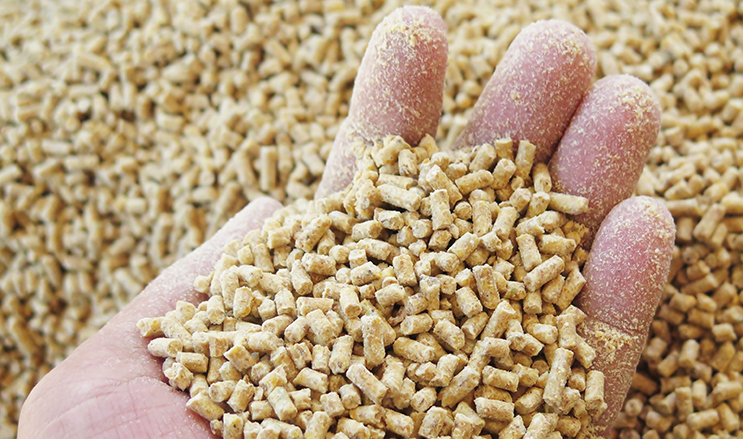 Feed additives are specialized substances added to animal feed to improve its nutritional value, enhance growth, and maintain animal health. These additives include vitamins, minerals, enzymes, probiotics, and amino acids that help livestock achieve optimal growth rates and high-quality production, whether in meat, milk, or eggs. Feed additives also play a vital role in strengthening immunity, improving digestion, and reducing the environmental impact of animal farming by minimizing waste. Modern feed additives are carefully formulated to ensure safety for animals, humans, and the environment, adhering to strict regulatory standards. With advancements in agricultural science, feed additives contribute to sustainable farming practices, addressing the growing global demand for nutritious food