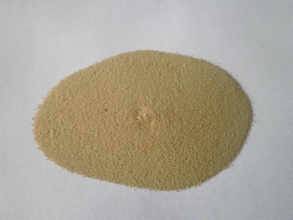 Goldbeater’s Skin Protein Powder