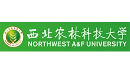 portable pcr machine