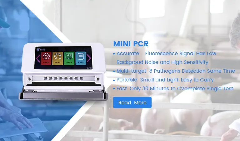 portable pcr machine