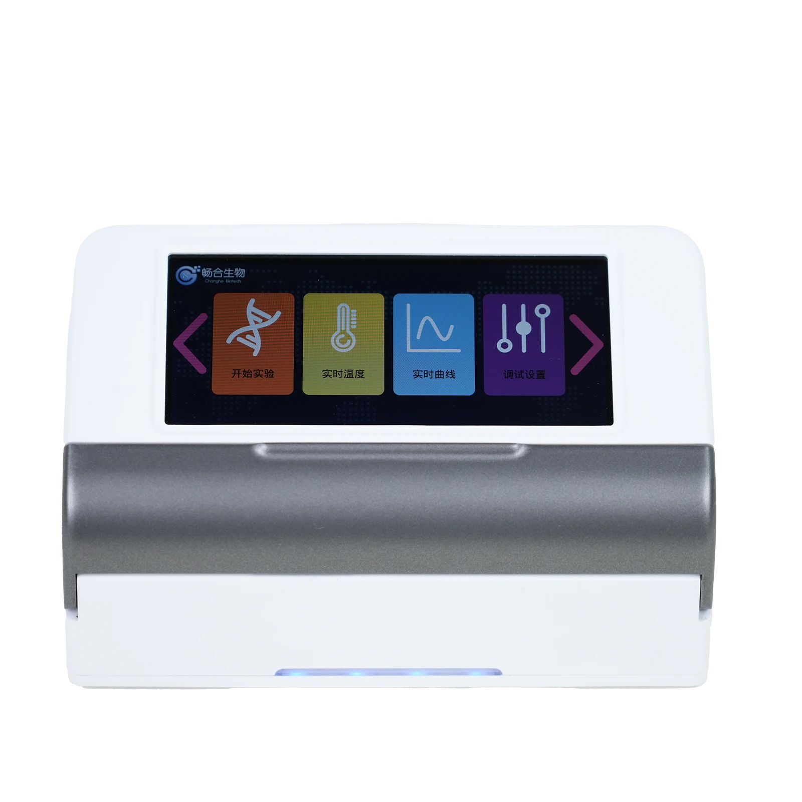 PCR Panel for Cats: Fast, Accurate, Affordable—Why Us?